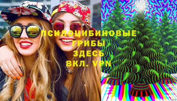 соль курить ск Костерёво