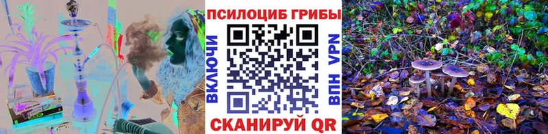 Купить закладки Новоаннинский Галлюциногенные грибы мицелий